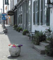 flowersmainst2.jpg