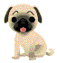 09a3f460.gif