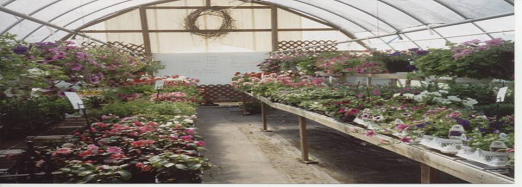 photo2.jpg